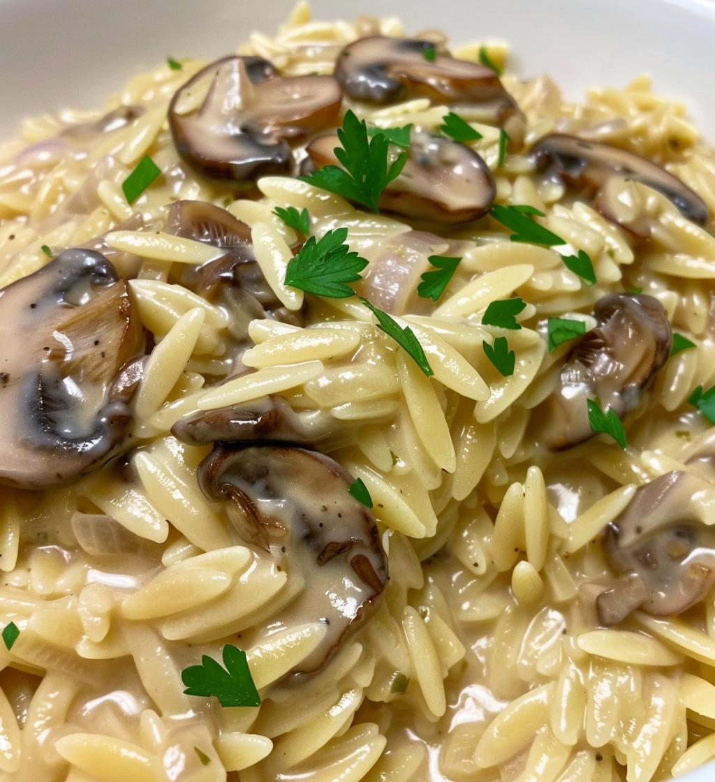 Mushroom Orzo - detail 1